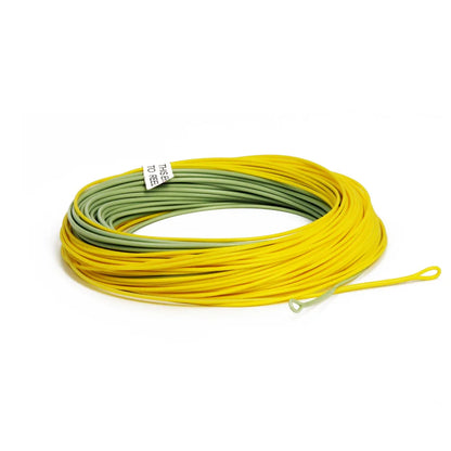 100FT Gold Fly Line  2-9WT Weight