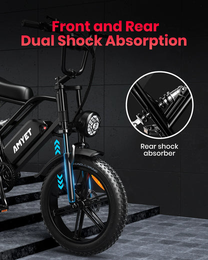 Adults Electric Bike 1000W Motor