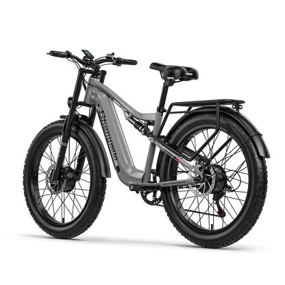 Adult Electric Bike 2000W Dual Motor 48V17.5AH