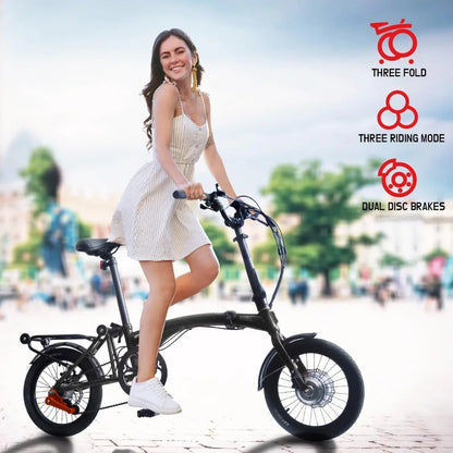 Folding Electric Bike