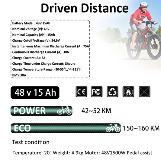 36V 48V 52V Hailong Ebike Battery with Charger