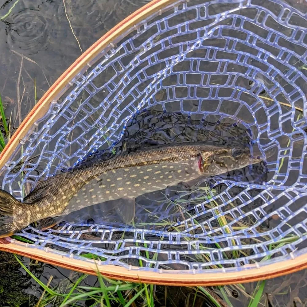 Fishing Hand Nets